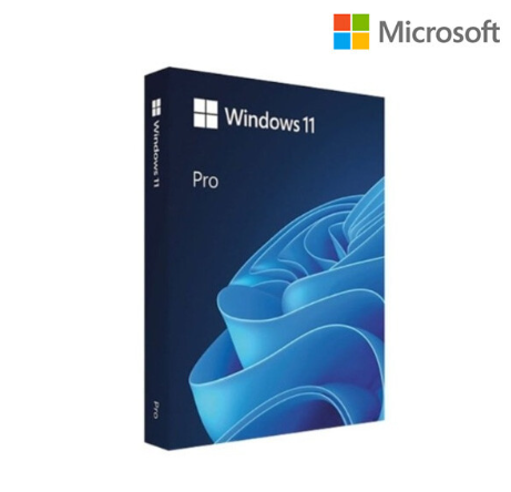 모아봄 마이크로소프트 윈도우11 프로 Windows 11 Pro FPP
